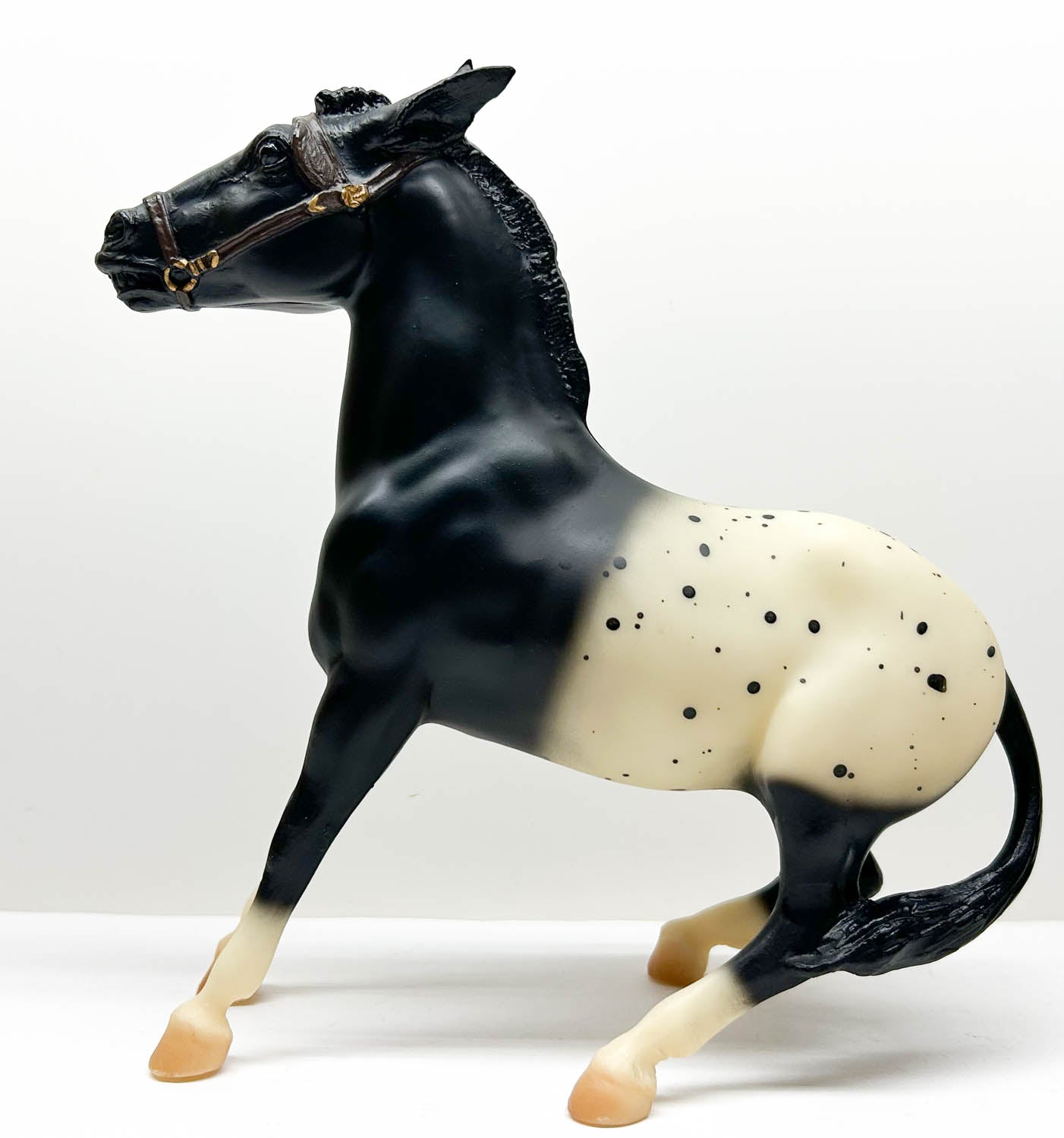 Balking Mule, Black Blanket Appaloosa - BHR, Only 400 Made