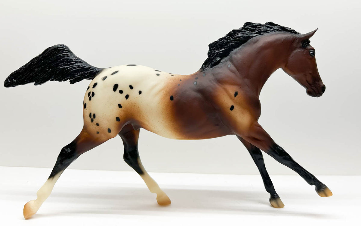 Black Beauty ~ Sir Wrangler