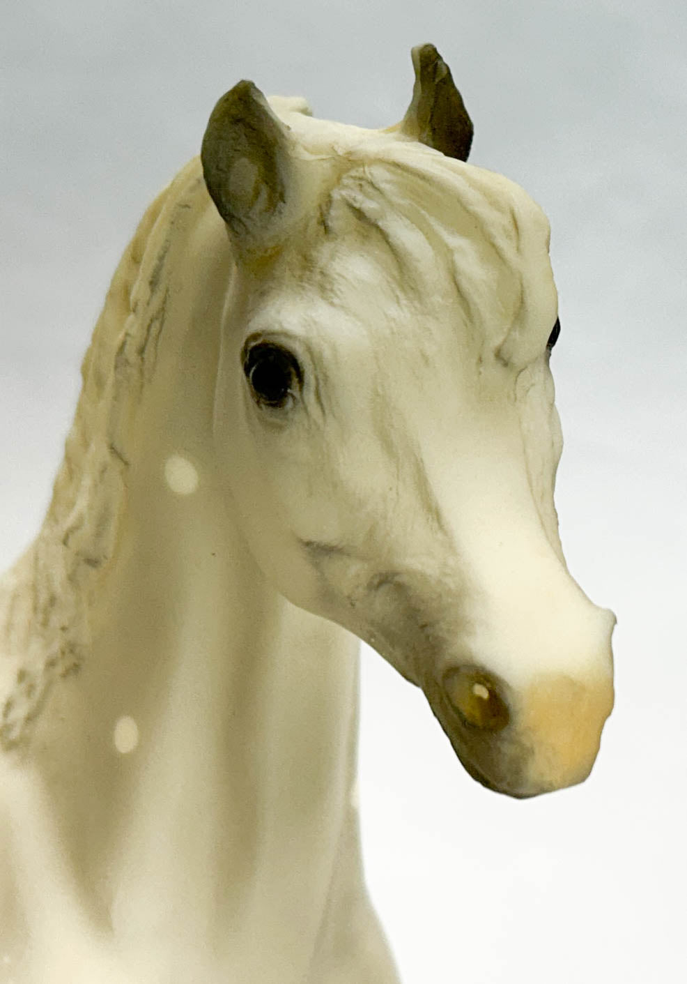 Black Stallion ~ Princess of Arabia Set, Dapple Grey - 6-Month Release