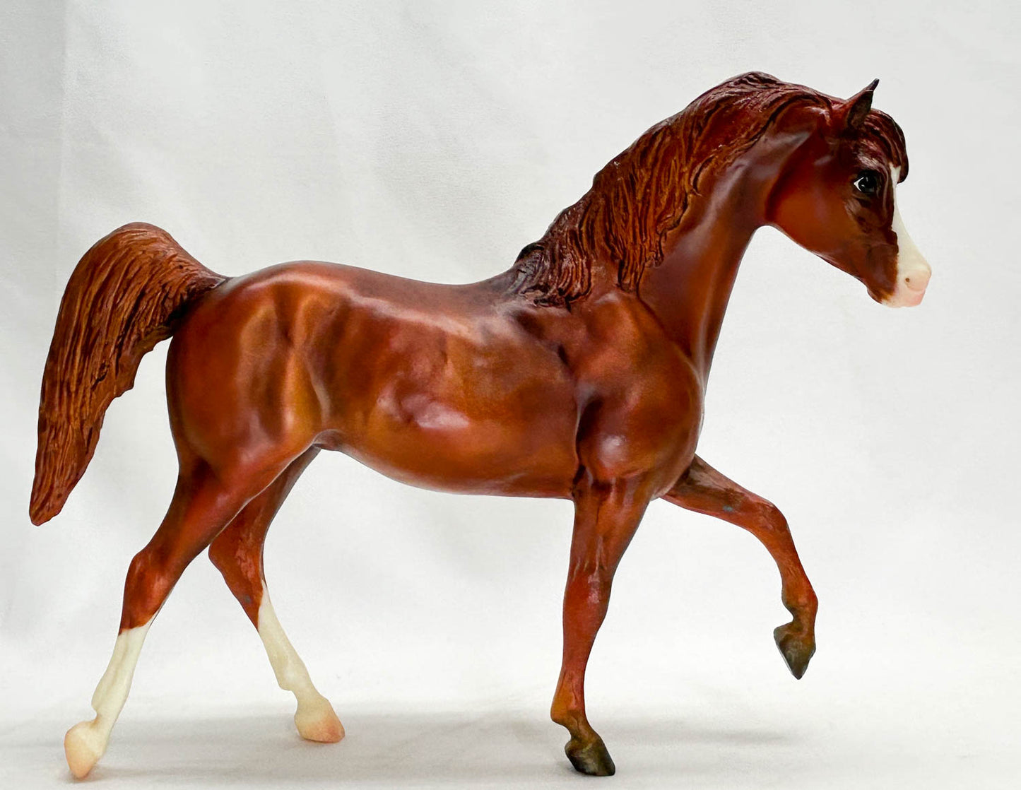 Black Stallion ~ Jingles