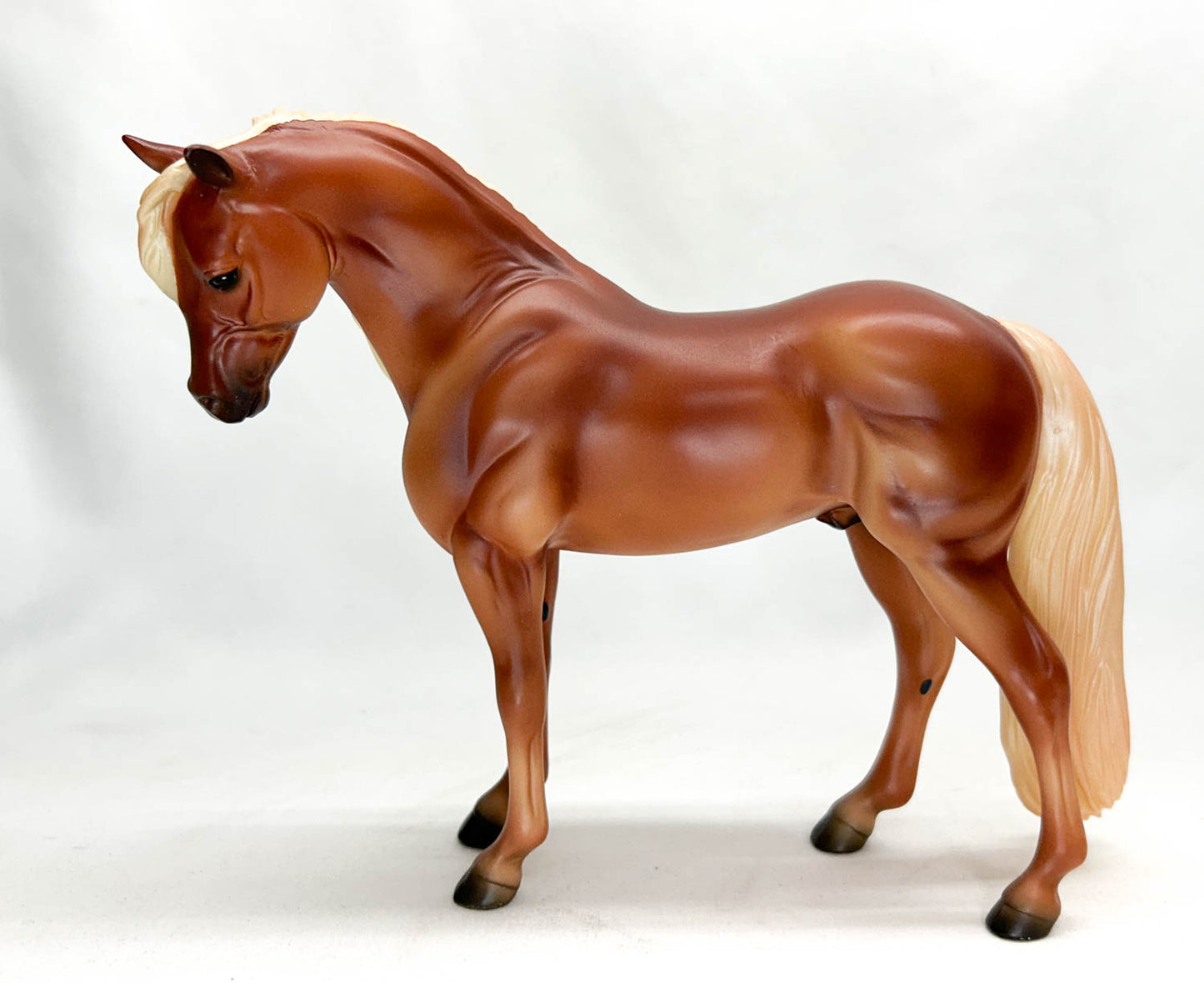 CHRISTMAS AUCTION: Bouncer ~ Apple Jack - 6-Month Release