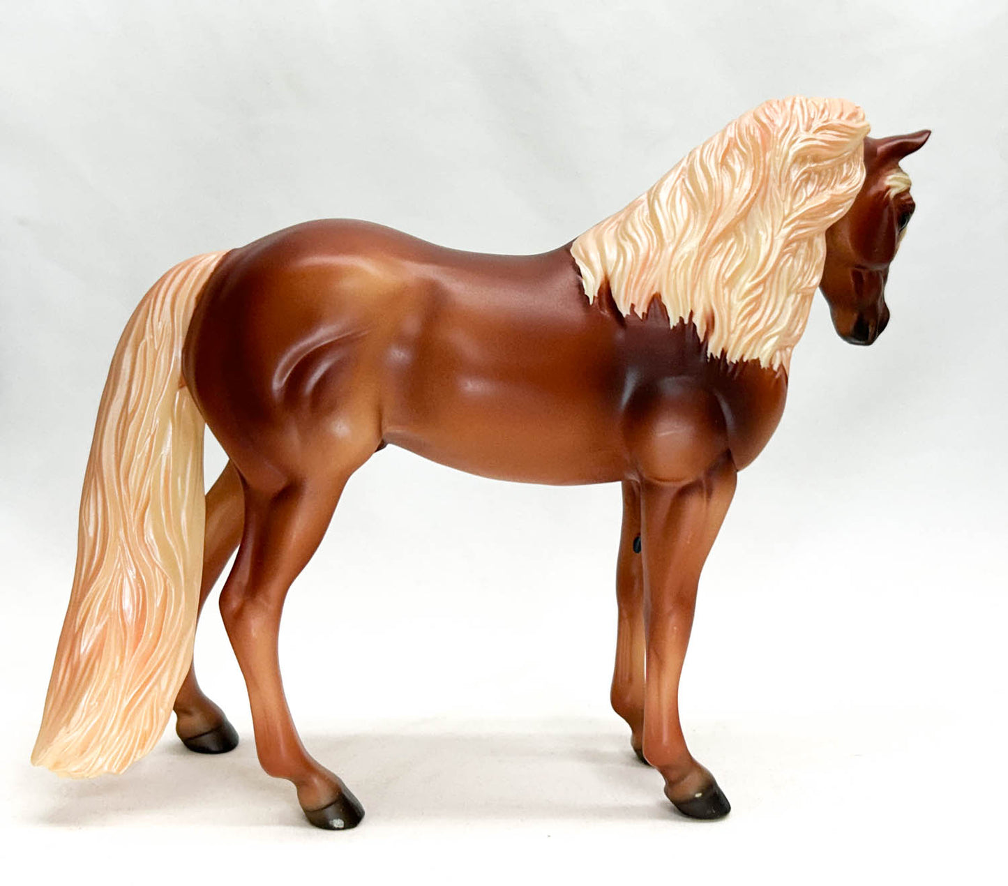 CHRISTMAS AUCTION: Bouncer ~ Apple Jack - 6-Month Release