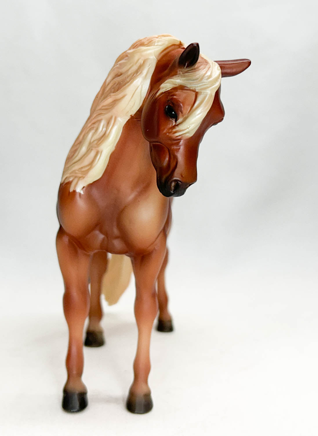 CHRISTMAS AUCTION: Bouncer ~ Apple Jack - 6-Month Release