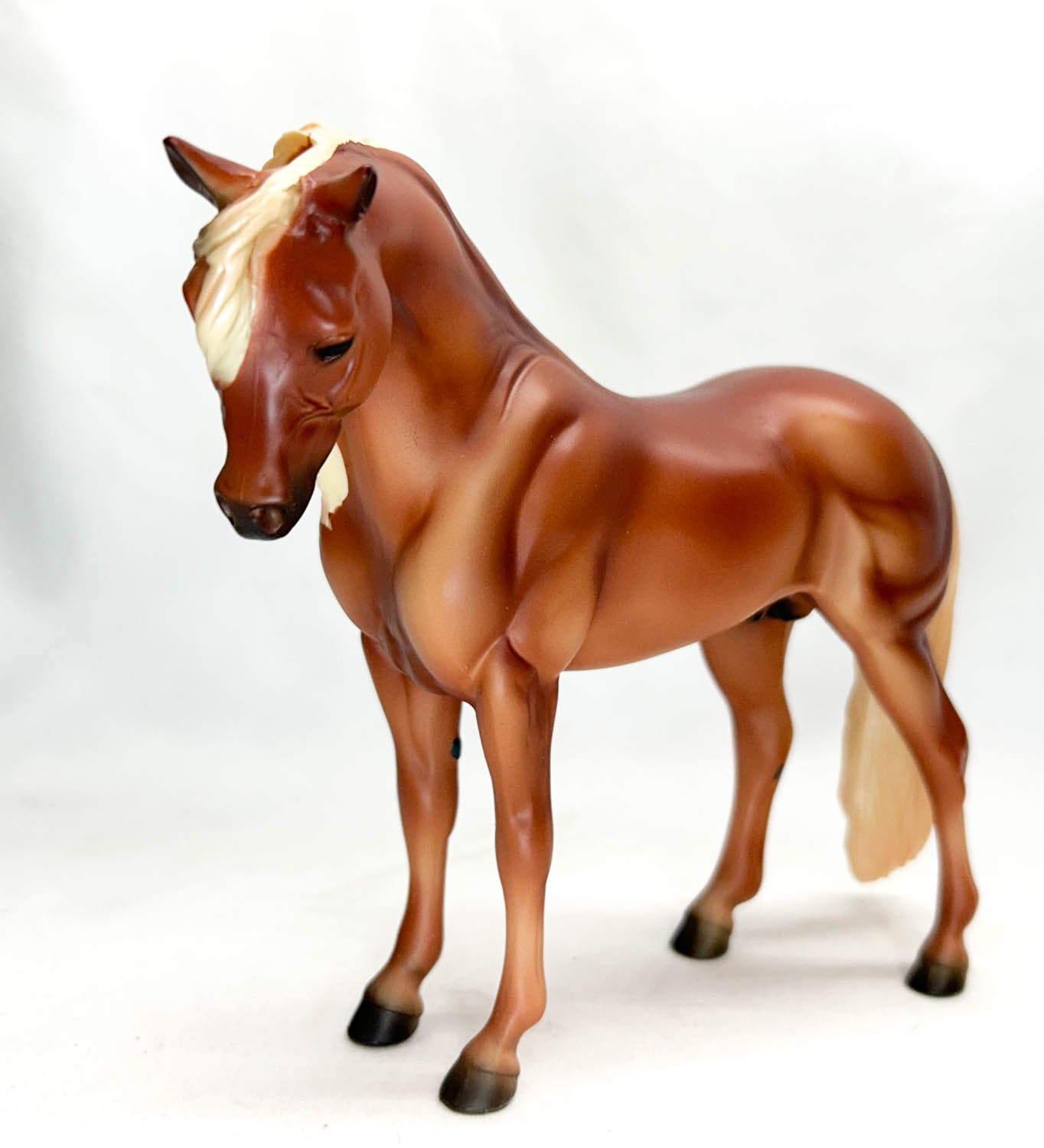 CHRISTMAS AUCTION: Bouncer ~ Apple Jack - 6-Month Release