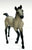Andalusian Foal, Grey - from Spanish Norman Family