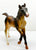 Andalusian Foal, Liver Chestnut - Fun Foals Set