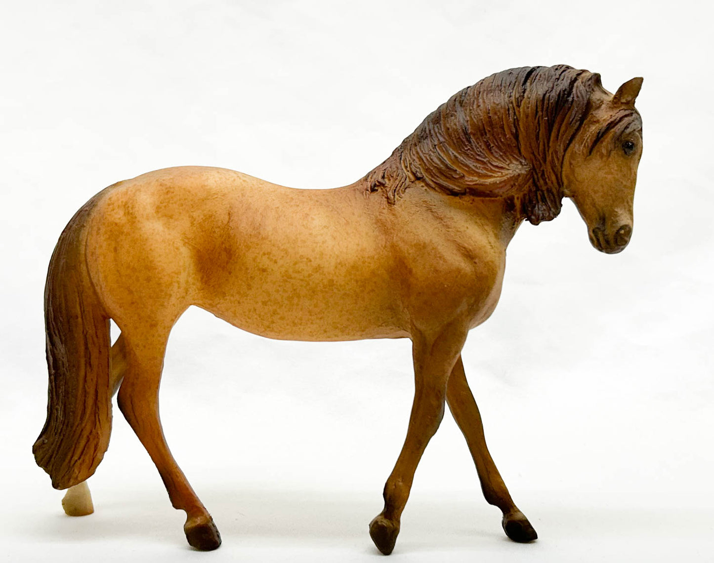 Andalusian Mare ~ Chaval