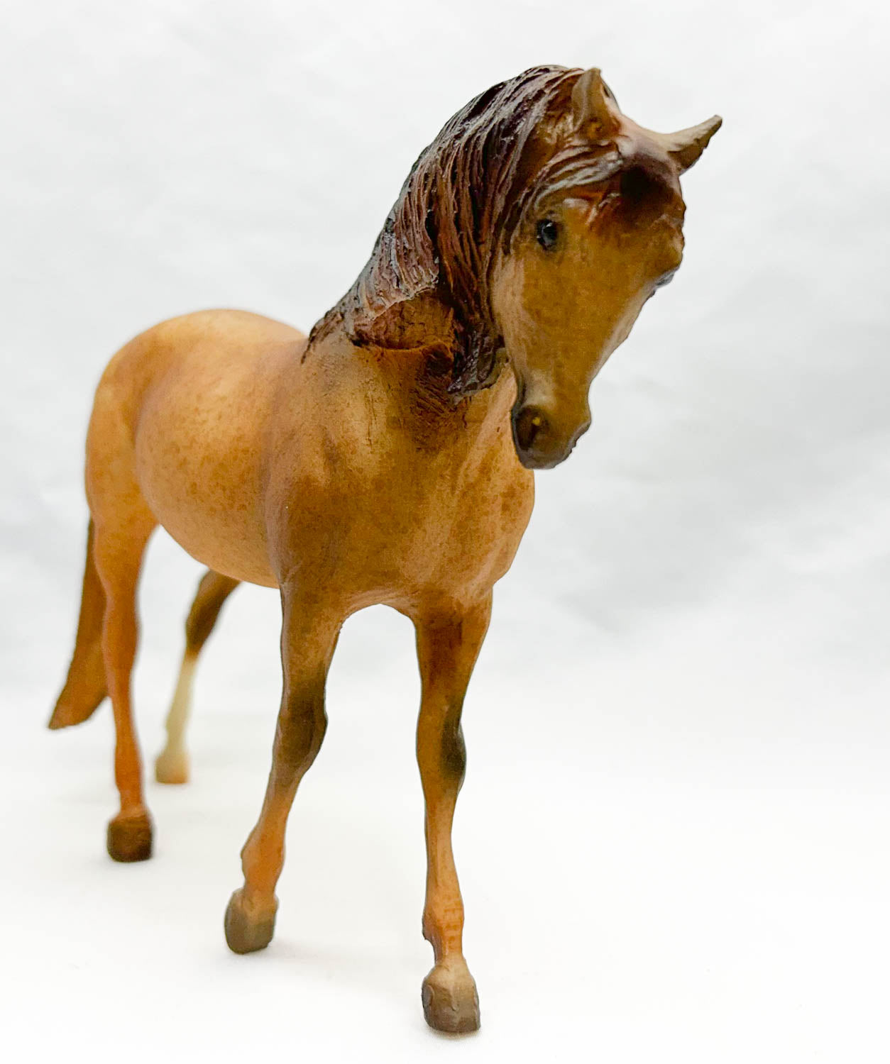 Andalusian Mare ~ Chaval