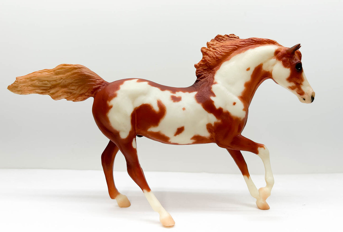 Andalusian Stallion ~ Hidalgo - Blockbuster SR