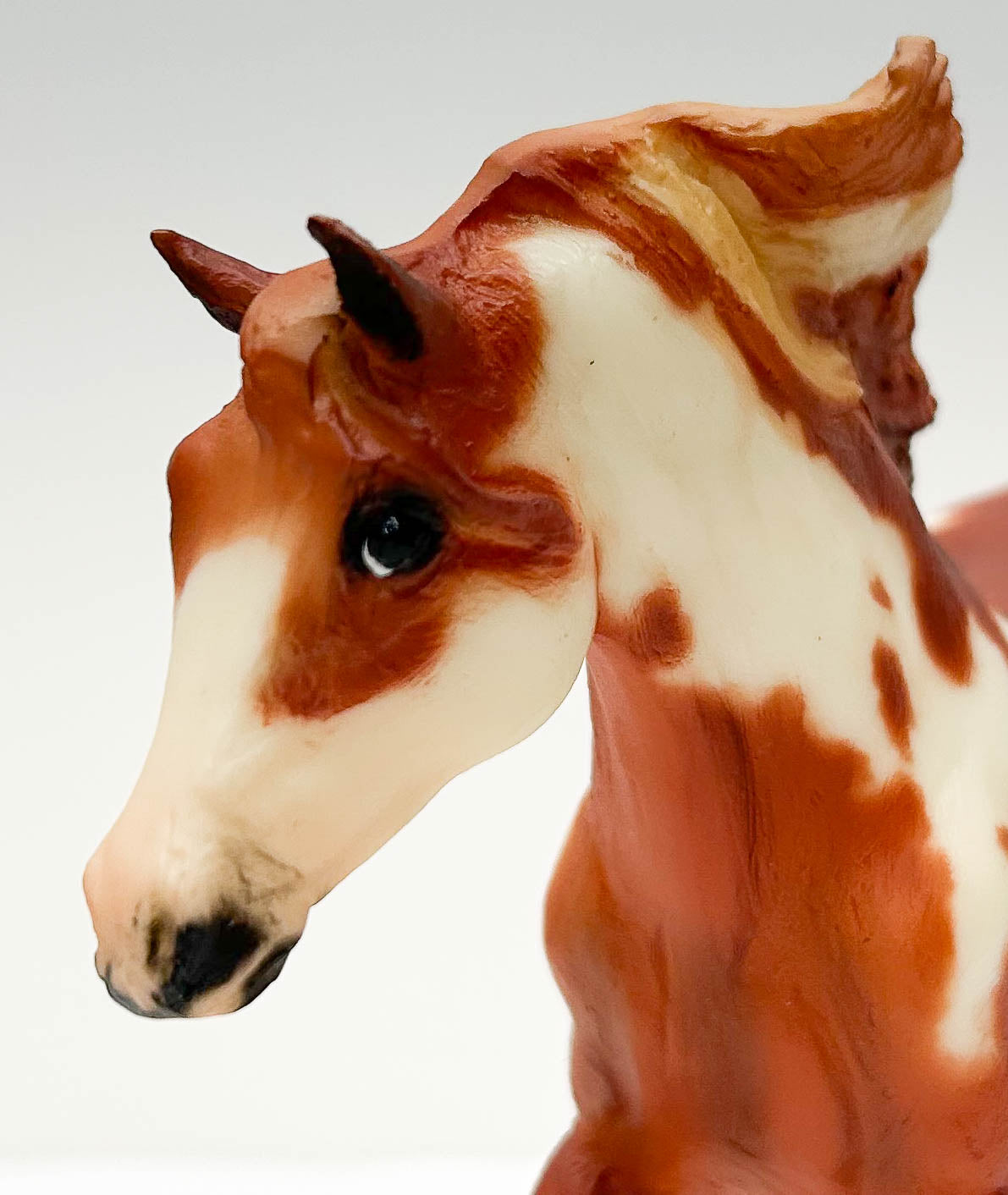 Andalusian Stallion ~ Hidalgo - Blockbuster SR