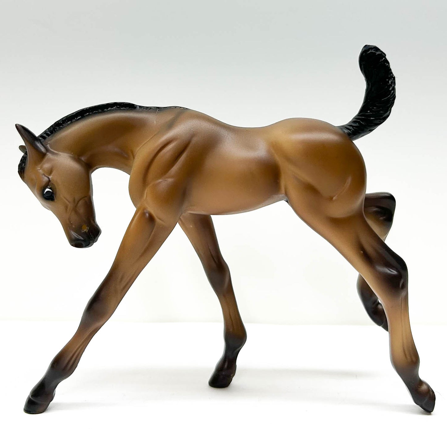 American Quarter Horse Foal ~ Hollywood Gold Family - Walmart SR