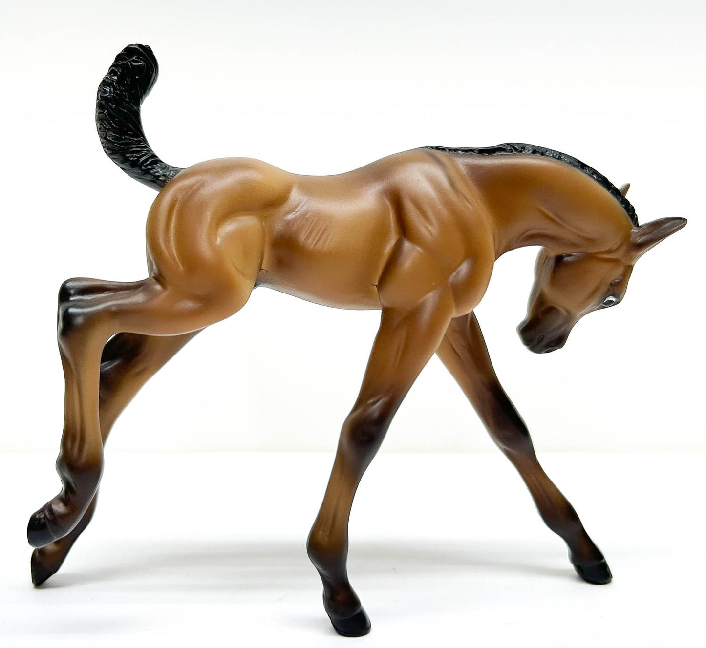 American Quarter Horse Foal ~ Hollywood Gold Family - Walmart SR