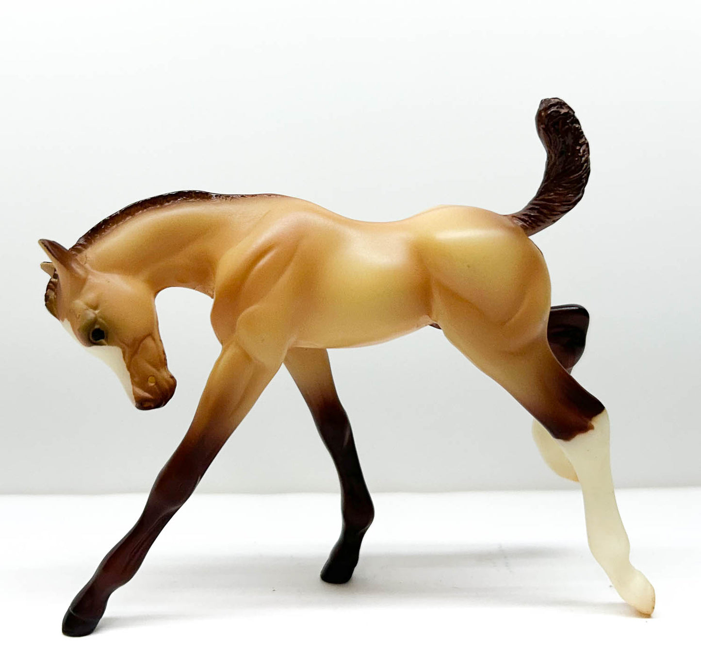 American Quarter Horse Foal ~ Amigo - Walmart & Mid-States Dist. SR