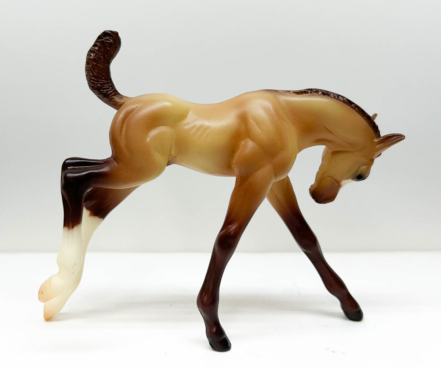 American Quarter Horse Foal ~ Amigo - Walmart & Mid-States Dist. SR