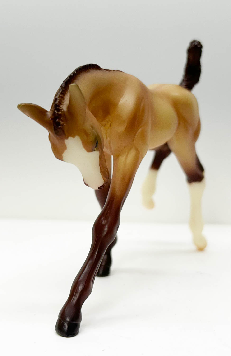 American Quarter Horse Foal ~ Amigo - Walmart & Mid-States Dist. SR