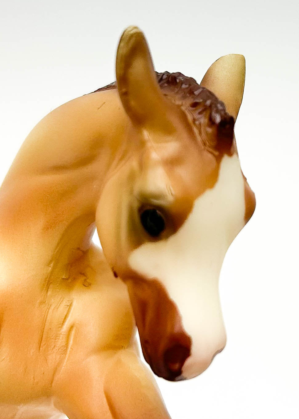 American Quarter Horse Foal ~ Amigo - Walmart & Mid-States Dist. SR