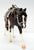 American Quarter Horse Mare ~ Riding Western Set