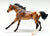 American Quarter Horse Stallion, Bay Appaloosa - Retailer SR