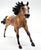 American Quarter Horse Stallion, Bay Appaloosa - Retailer SR