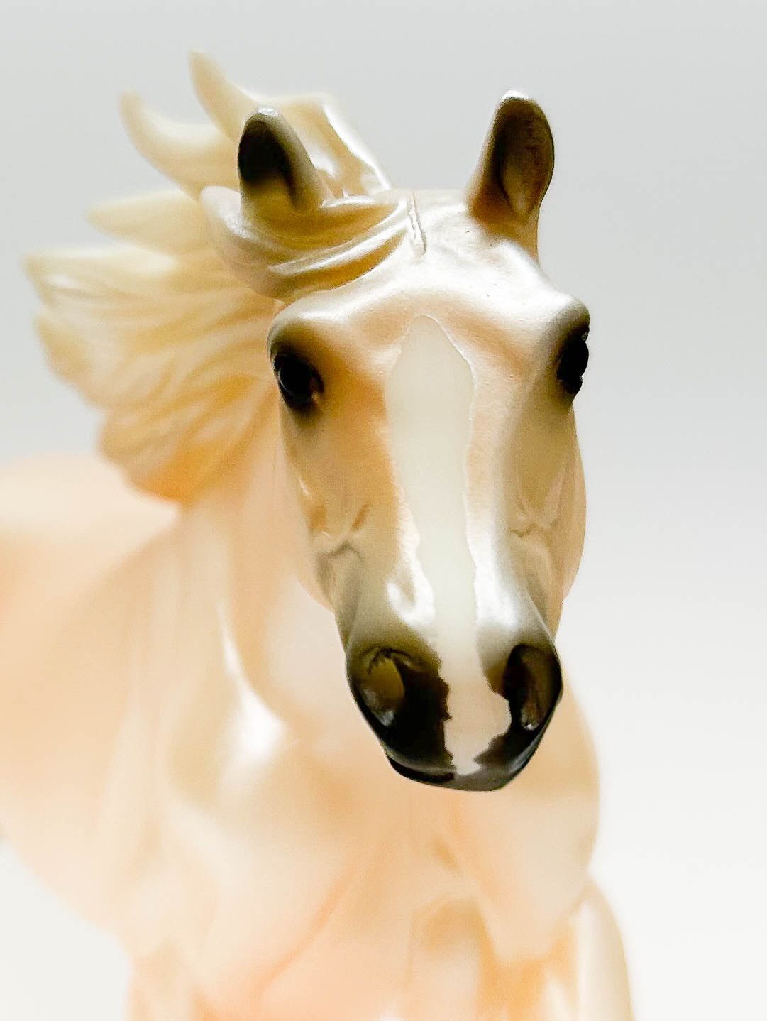 American Quarter Horse Stallion ~ Cloud from Cloud's Encore Gift Set + Bonus Poster