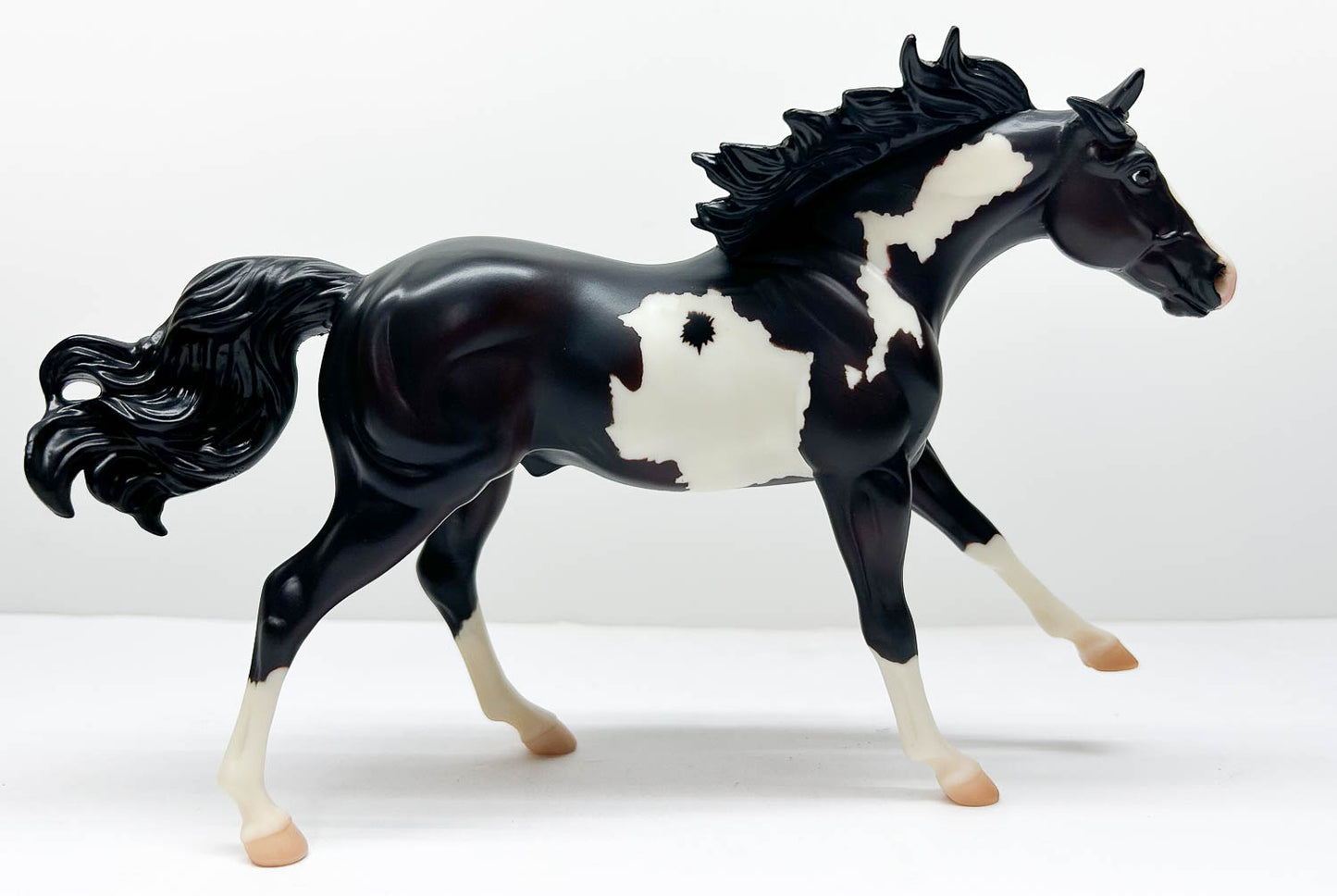 American Quarter Horse Stallion ~ Rocky Road - 2006 Fun Days SR