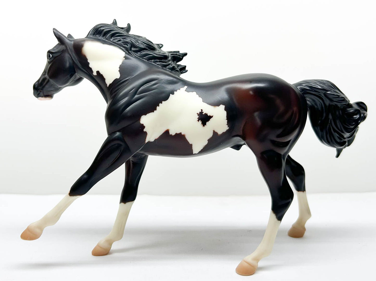 American Quarter Horse Stallion ~ Rocky Road - 2006 Fun Days SR