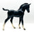 Arabian Foal, Black