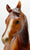 Arabian Mare, Chestnut