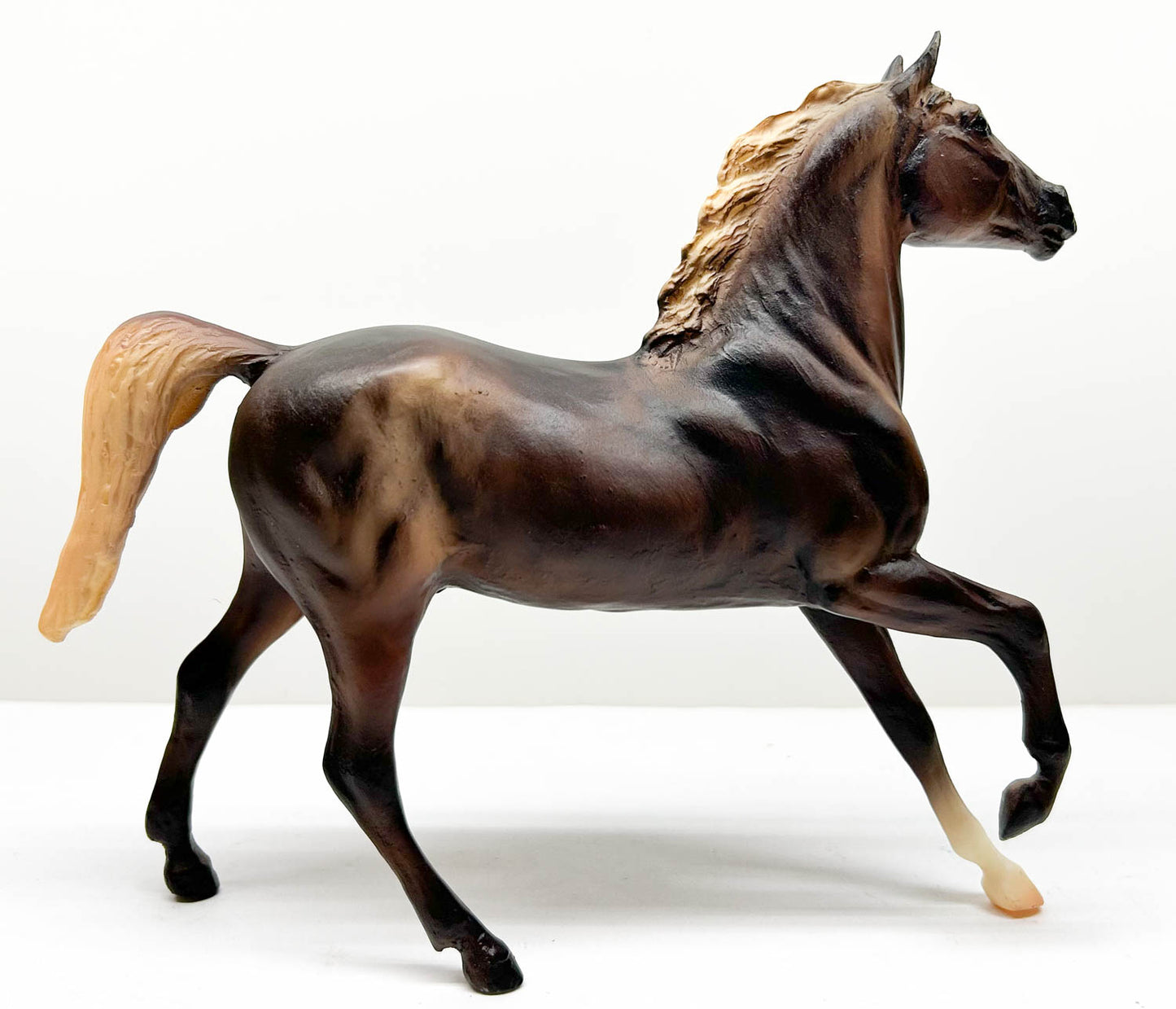 Black Beauty ~ Dakota - America's Wild Mustangs