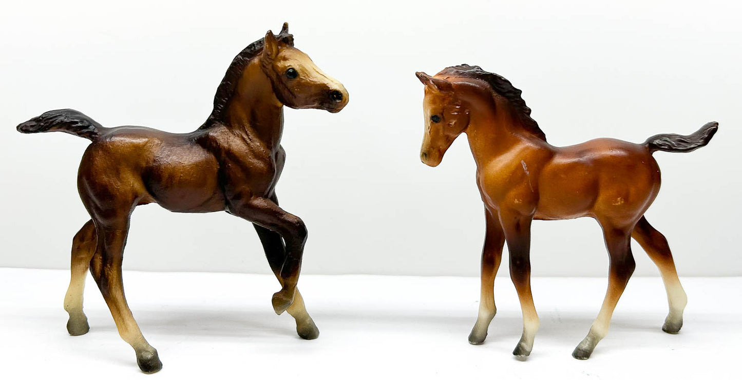 Andalusian and Arabian Foals (bodies)