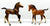 Andalusian and Arabian Foals (bodies)