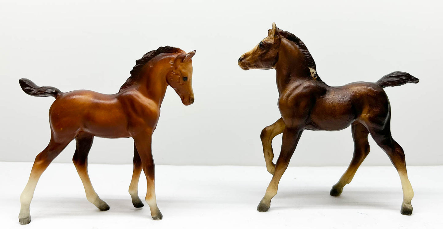 Andalusian and Arabian Foals (bodies)