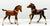Andalusian and Arabian Foals (bodies)