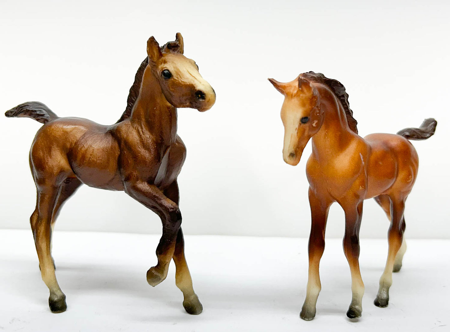 Andalusian and Arabian Foals (bodies)