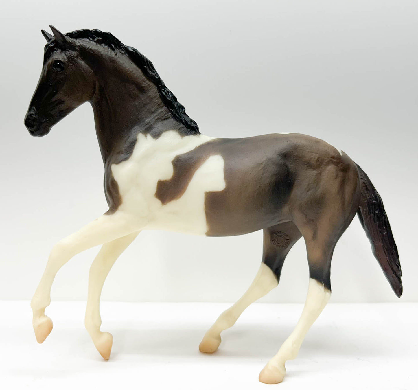 Ginger, Grulla Pinto - Walmart SR