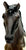 Ginger, Grulla Pinto - Walmart SR