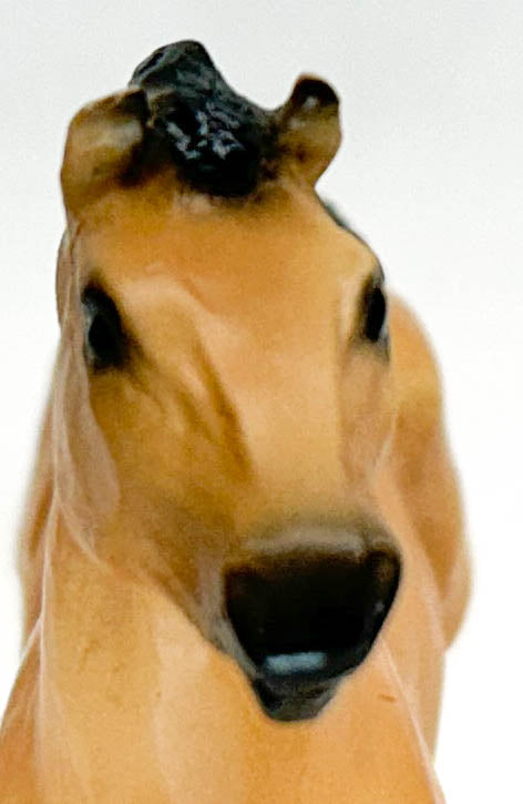 Johar, from New Arrival at the Barn Set - Walmart SR