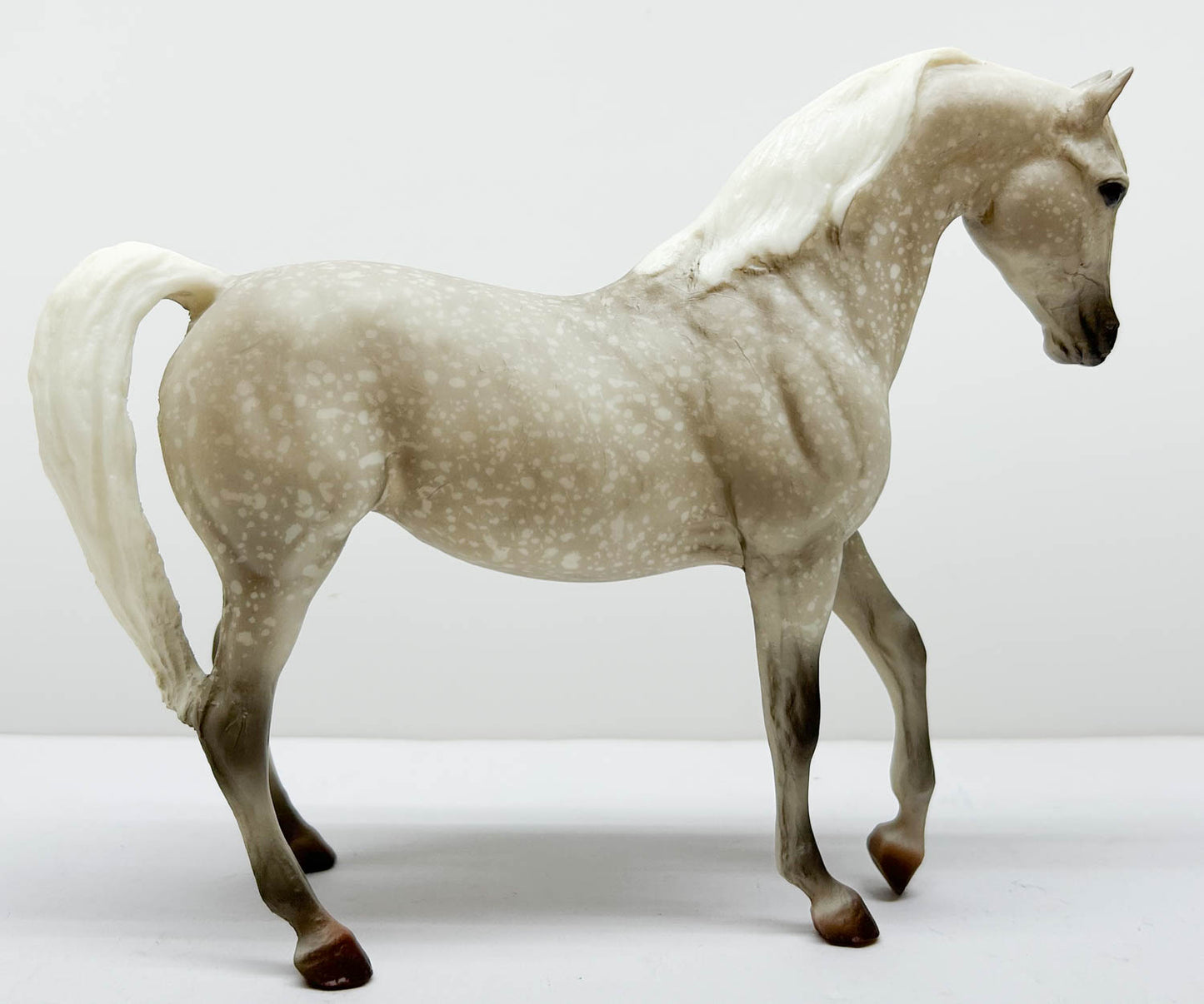 Johar ~ Paloma - Walmart SR