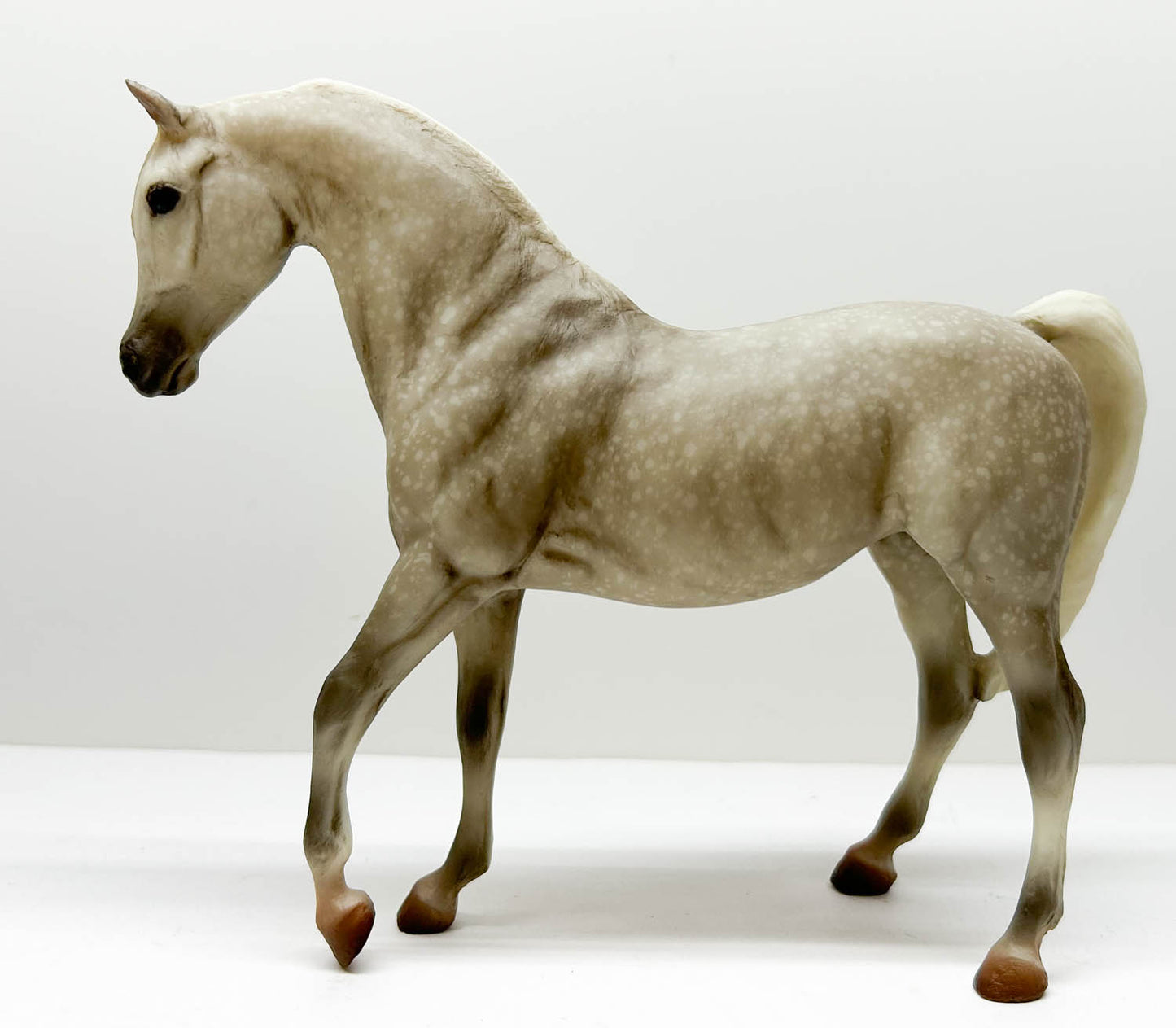 Johar ~ Paloma - Walmart SR