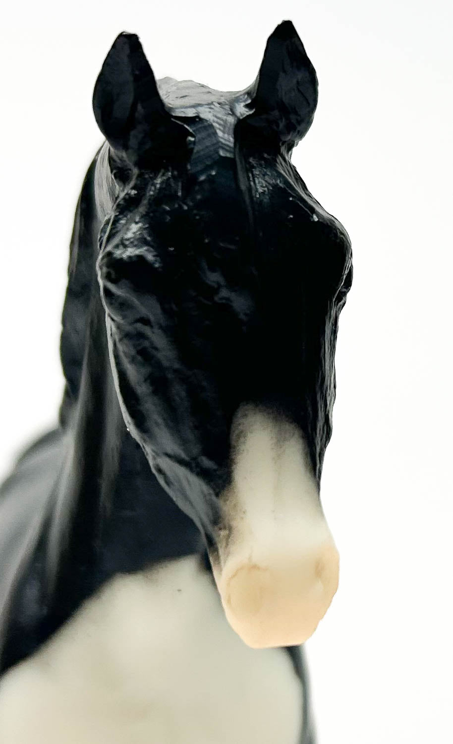 Johar ~ Eagle and Pow Wow Set