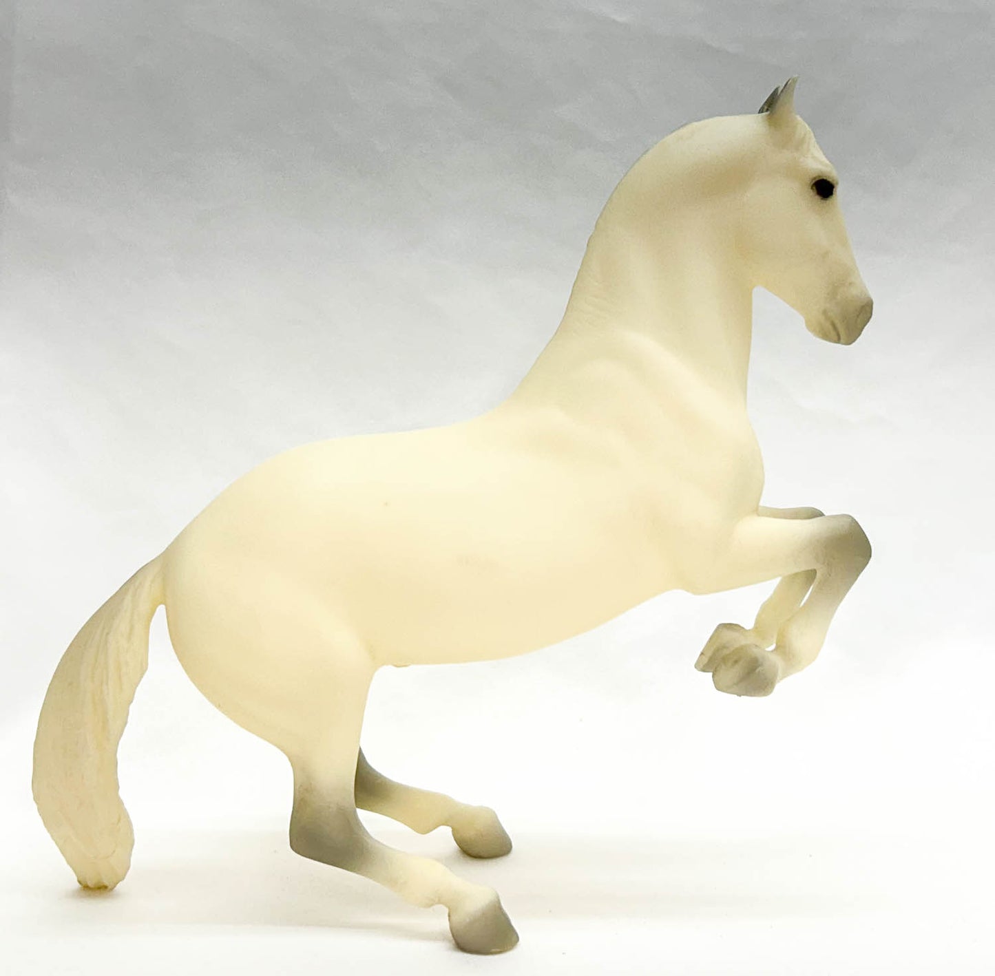 Lipizzan Stallion ~ 25th Anniversary Edition Lipizzaner Tour SR