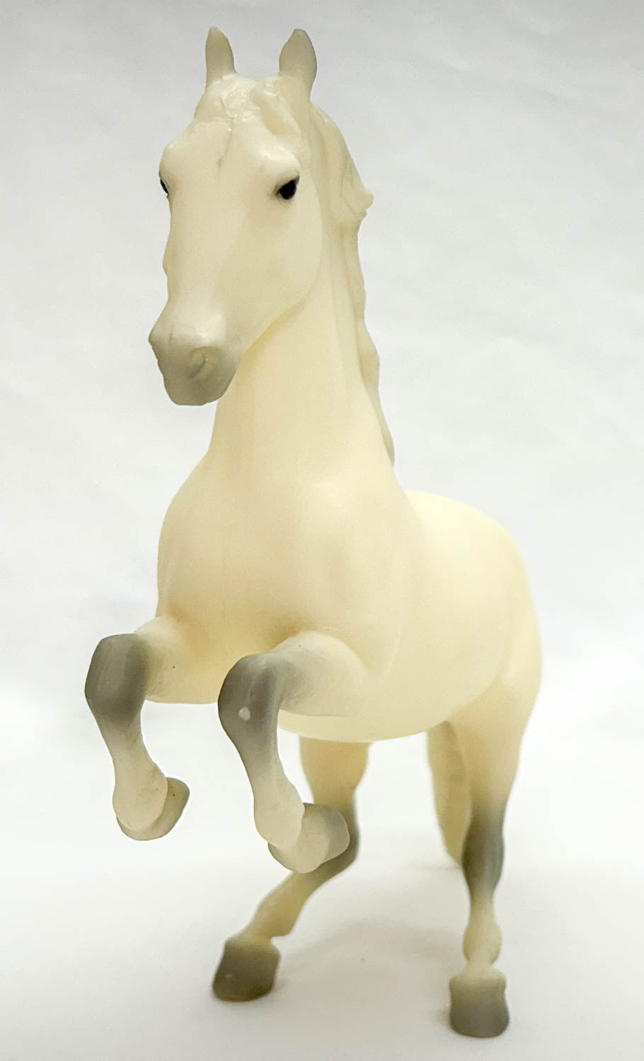 Lipizzan Stallion ~ 25th Anniversary Edition Lipizzaner Tour SR