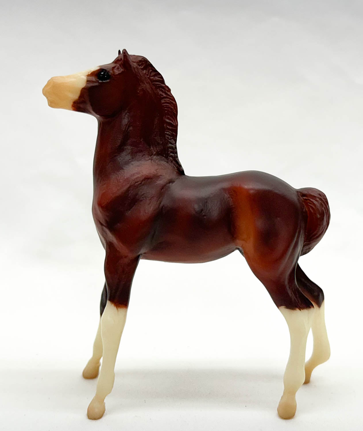 Mesteno the Foal ~ Roca - Walmart SR