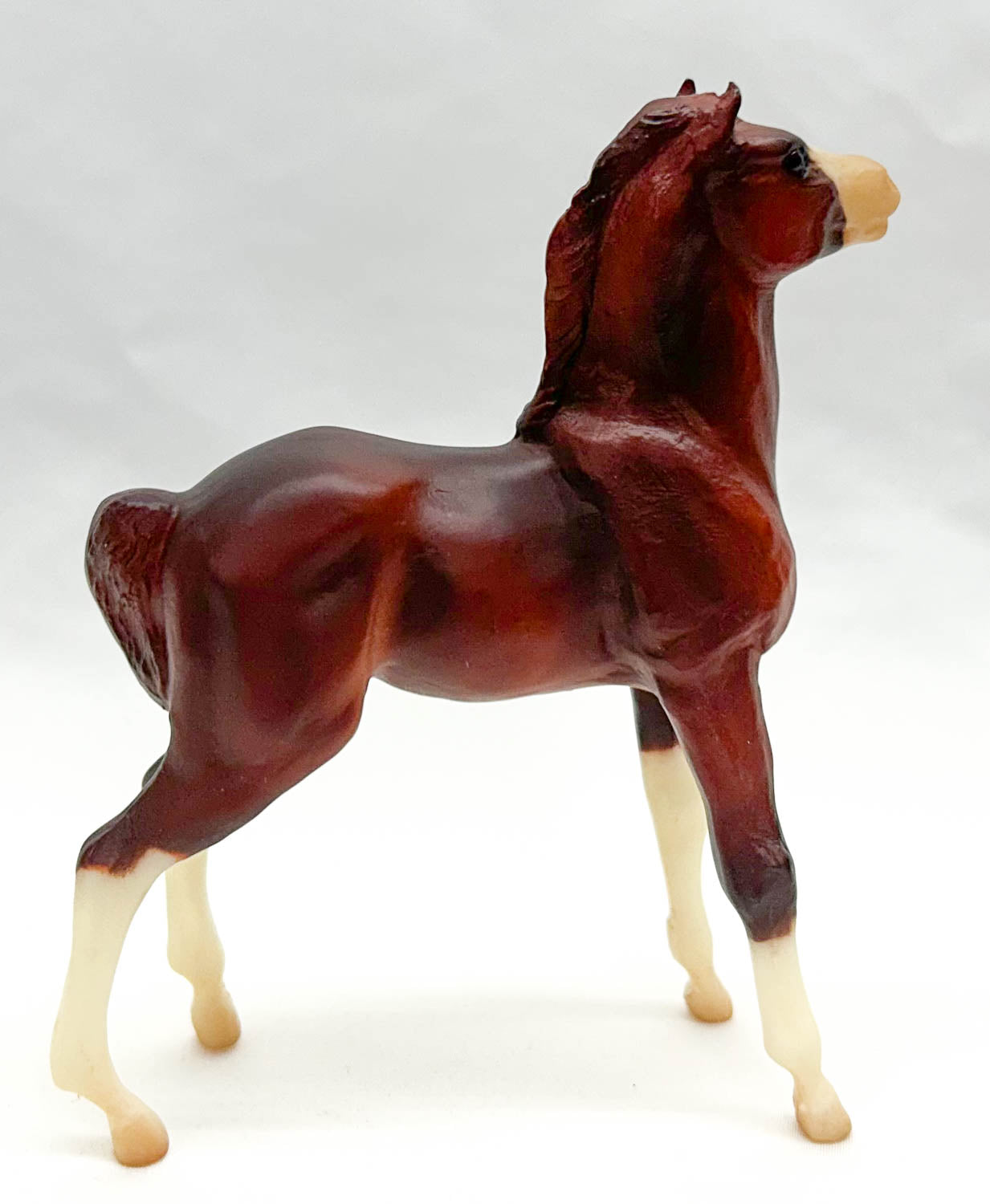 Mesteno the Foal ~ Roca - Walmart SR