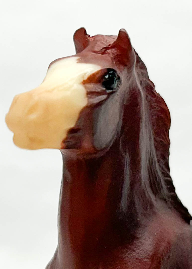 Mesteno the Foal ~ Roca - Walmart SR