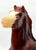 Mesteno the Foal ~ Roca - Walmart SR