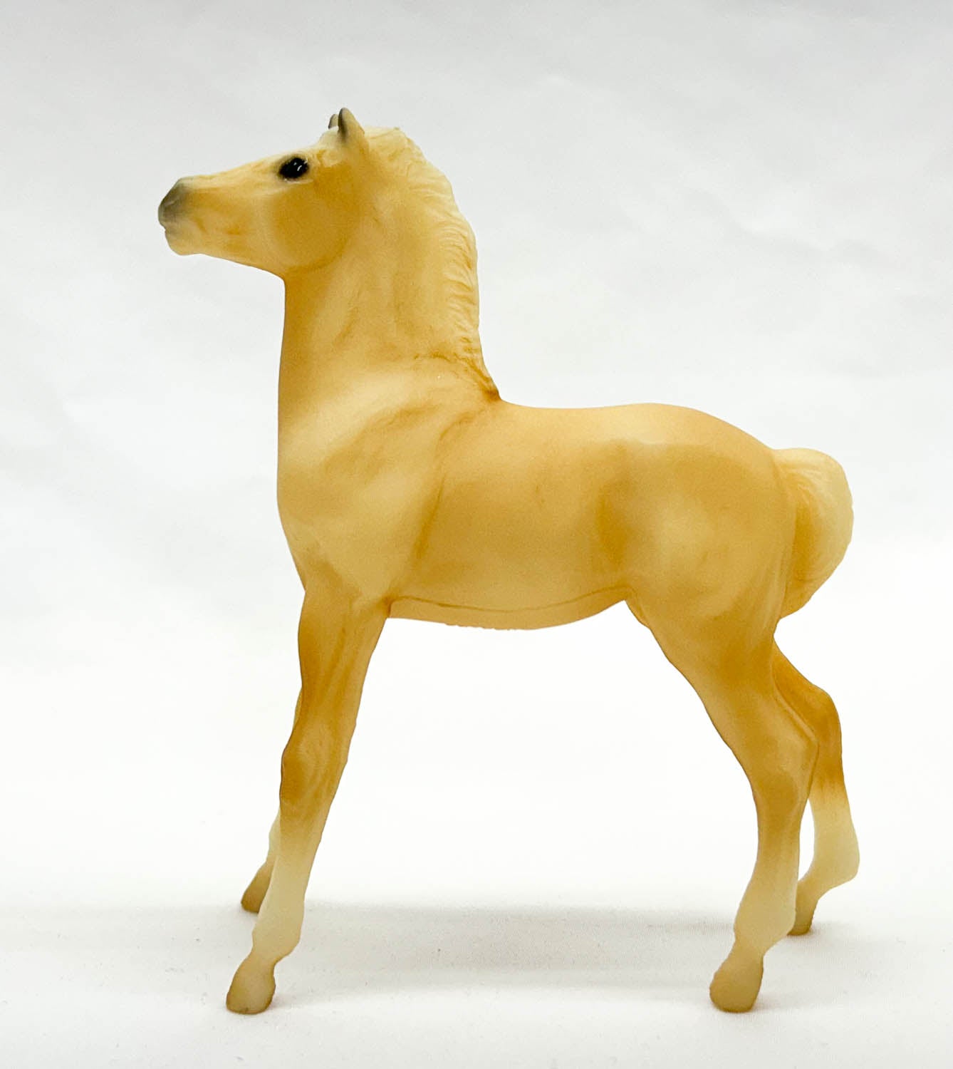 Mesteno the Foal ~ Twister (Misty of Chincoteague Descendant)