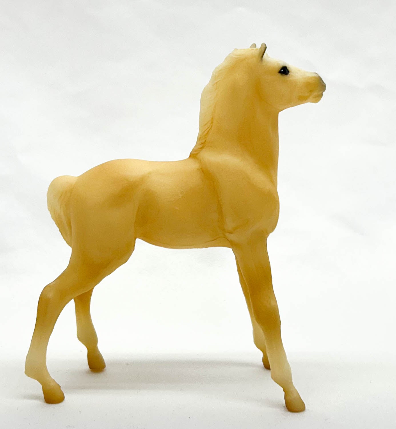 Mesteno the Foal ~ Twister (Misty of Chincoteague Descendant)