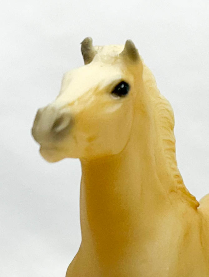 Mesteno the Foal ~ Twister (Misty of Chincoteague Descendant)