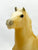 Mesteno the Foal ~ Twister (Misty of Chincoteague Descendant)